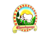 cropped cropped 1000001175 removebg preview 2.png